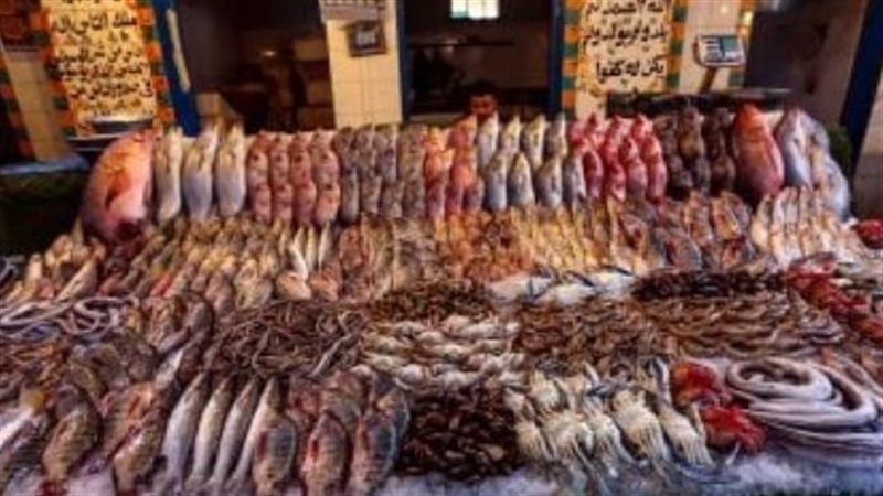 أسعار السمك اليوم