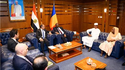 عبد العاطي يسلم رسالة الرئيس السيسي إلى رئيس جمهورية تشاد