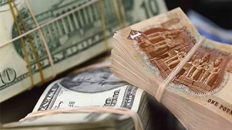 توقعات الدولار في