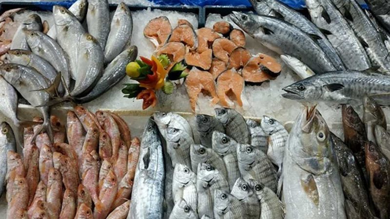 أسعار السمك اليوم