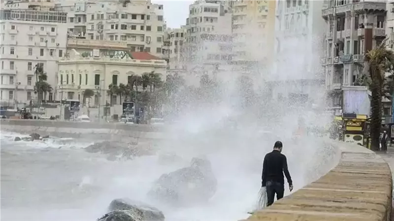 جدول نوات الإسكندرية