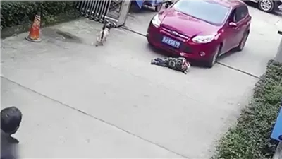 حادث المعادي اليوم.. القبض على شخص دهس رجل وطفل