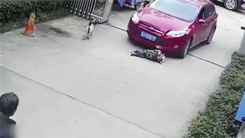 حادث المعادي