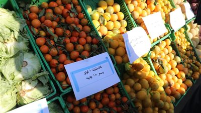 أماكن أسواق اليوم الواحد في الجيزة.. تخفيضات تصل لـ30% على السلع الأساسية