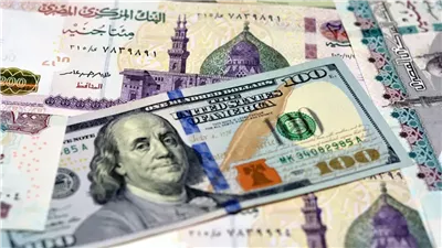 سعر الدولار اليوم مقابل الجنيه المصري في بداية التعاملات الصباحية
