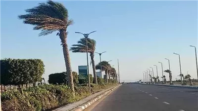 حالة الطقس اليوم الأحد 5 يناير.. انخفاض حاد في درجات الحرارة|فيديو