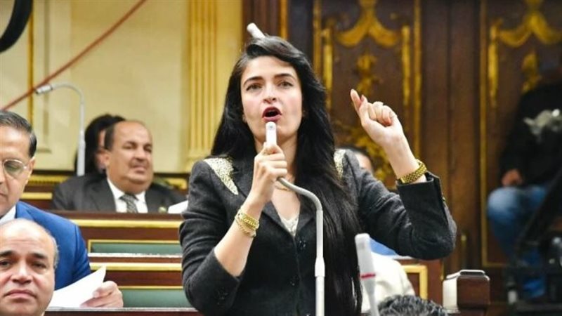 تصريحات النائبة عن