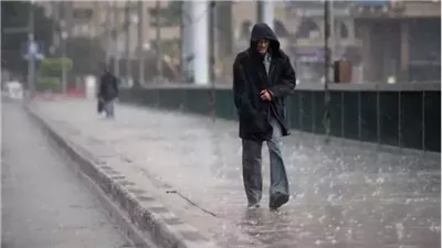 حالة الطقس غدا الثلاثاء 7 يناير 2025.. أمطار غزيرة في هذه المحافظات 