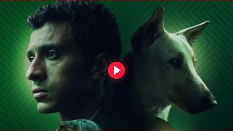 ايرادات فيلم رامبو