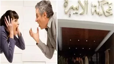 قانون الأحوال الشخصية الجديد 2025.. معالجة مشكلات الرؤية