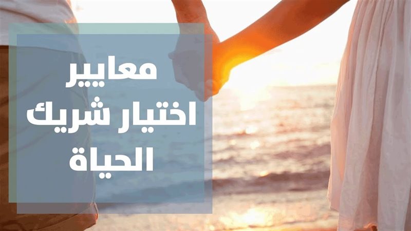 معايير اختيار شريك