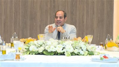 السيسي: 4.5 مليون فدان ستدخل الخدمة بنظام ري وزراعة حديثة