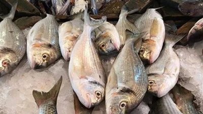 أسعار الأسماك الطازة والمجمد اليوم الأحد 12 يناير
