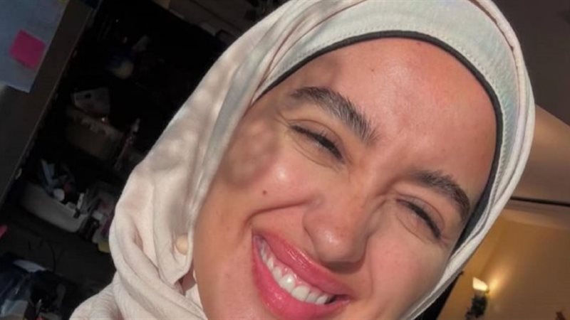حسان الشيخ زوج نينا