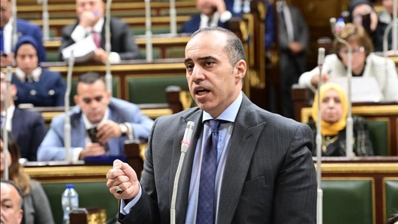 المستشار محمود فوزي