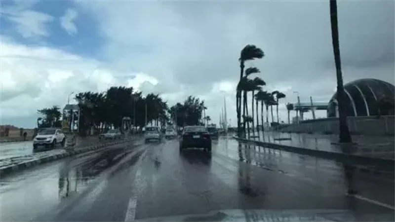 النهارده كام طوبة