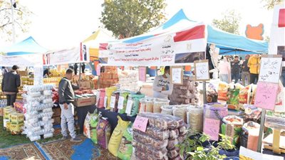 للمرة الثالثة.. افتتاح سوق اليوم الواحد بالإسماعيلية لتوفير السلع بأسعار تصل لـ30%