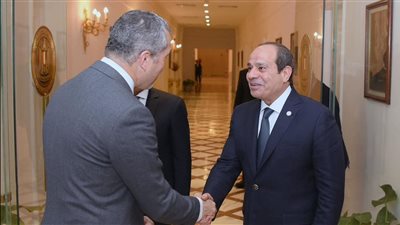 الرئيس السيسي يبحث مع سكرتير عام المنظمة البحرية الدولية تعزيز التعاون في الطاقة المتجددة
