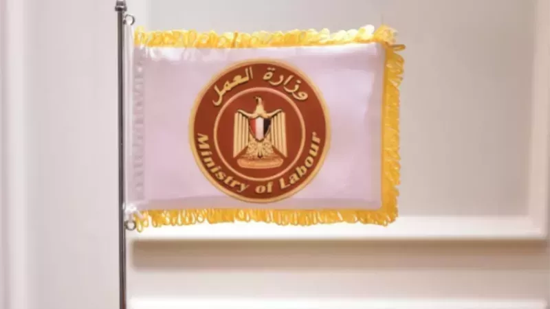 وظائف المصريين في