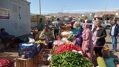 للمرة الخامسة على التوالي.. افتتاح سوق اليوم الواحد بمدينة دهب بجنوب سيناء