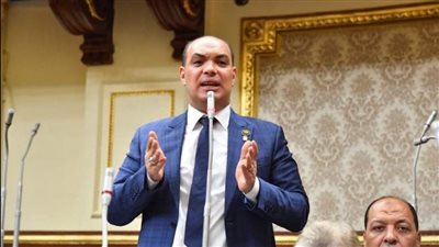 مصر ترفض تهجير الفلسطينيين.. برلماني: لم ولن نتراجع عن موقفنا الثابت