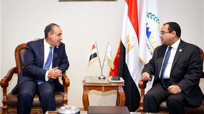 وزير الخارجية يؤكد على الدور الحيوي للجهاز المركزي للتنظيم والإدارة في بناء القدرات