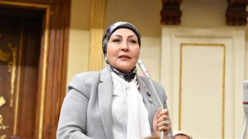 النائبة هالة أبو