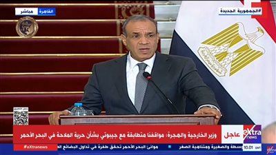 الخارجية: نرفض الوجود العسكري الدائم في البحر الأحمر لأي دولة غير مشاطئة