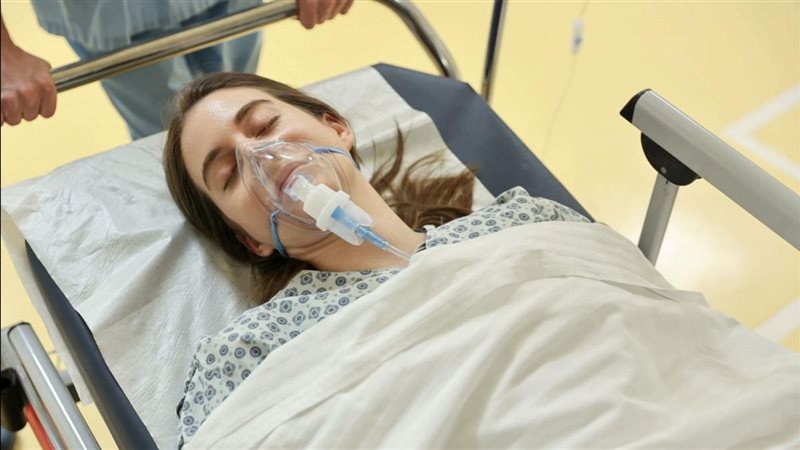 مسلسل طائر الرفراف