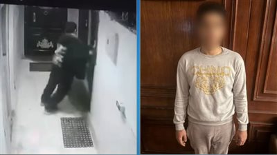 الأمن يكشف حقيقة فيديو تتبع شخص لسيدة ومحاولته دخول شقتها بحدائق الأهرام