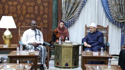منح دراسية وتعزيز الدعم العلمي.. تفاصيل لقاء شيخ الأزهر مع وزير الأمن البوركيني