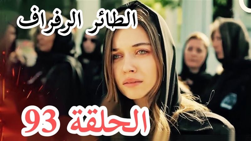 مسلسل الطائر الرفراف