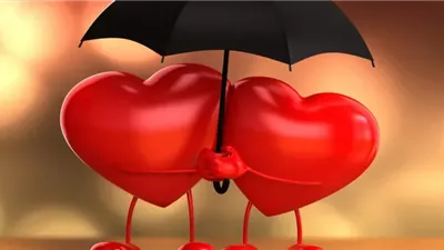 هل الاحتفال بعيد الحب حرام؟.. رد حاسم من الإفتاء