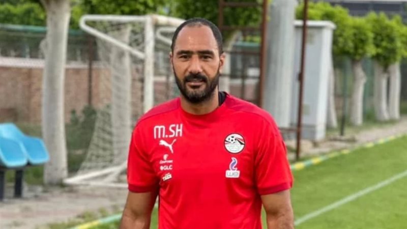 محمد شوقي، نائب المدير