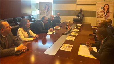 مصر وجزر القمر تبحثان تعزيز التعاون الاقتصادي والتنمية المستدامة