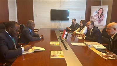 مصر وكوت ديفوار تؤكدان تعزيز التعاون الثنائي ودعم التنمية المستدامة في إفريقيا