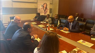مباحثات مصرية تنزانية لتعزيز التعاون المشترك بين البلدين