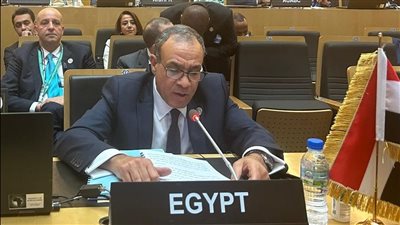 نص كلمة وزير الخارجية خلال اجتماع المجلس التنفيذي للاتحاد الإفريقي |مستند