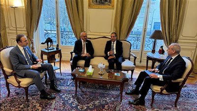 مصر والبحرين تؤكدان أهمية استدامة وقف النار وإعادة إعمار غزة