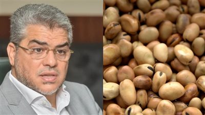 مسمار البطن.. الحاصلات الزراعية تكشف أسباب ارتفاع أسعار الفول قبل رمضان| خاص
