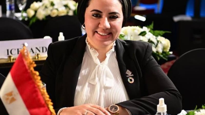 النائبة أميرة صابر،