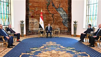 السيسي يؤكد أهمية حل الدولتين في لقائه مع رئيس الكونجرس اليهودي العالمي