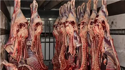سعر كيلو اللحم الجاموسي قائم اليوم 2025.. اعرف وصل كام بعد الارتفاع