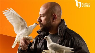 مسلسلات 15 حلقة في رمضان 2025.. نجوم يبتعدون عن دراما المط والتطويل 