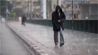 حالة الطقس اليوم الخميس 20 فبراير 2025 .. القاهرة تشهد سقوط أمطار