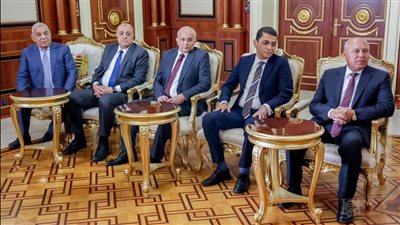 مصر تشارك بتجاربها الناجحة في تنفيذ المشروعات الكبرى في تشاد