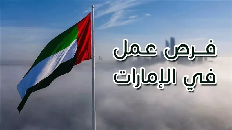 وظائف المصريين في