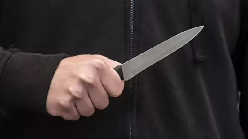 جريمة قتل المنيا