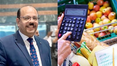 اقتصادي: الأسر المصرية بدأت تشعر بالتحسن في حالتها الاجتماعية.. وبلاش ياميش |خاص