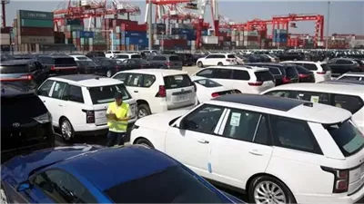 اخر اخبار سيارات المعاقين 2025.. مصلحة الجمارك تصدر قرارًا جديدًا